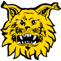 Ilves Ilves