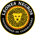 Leones Negros